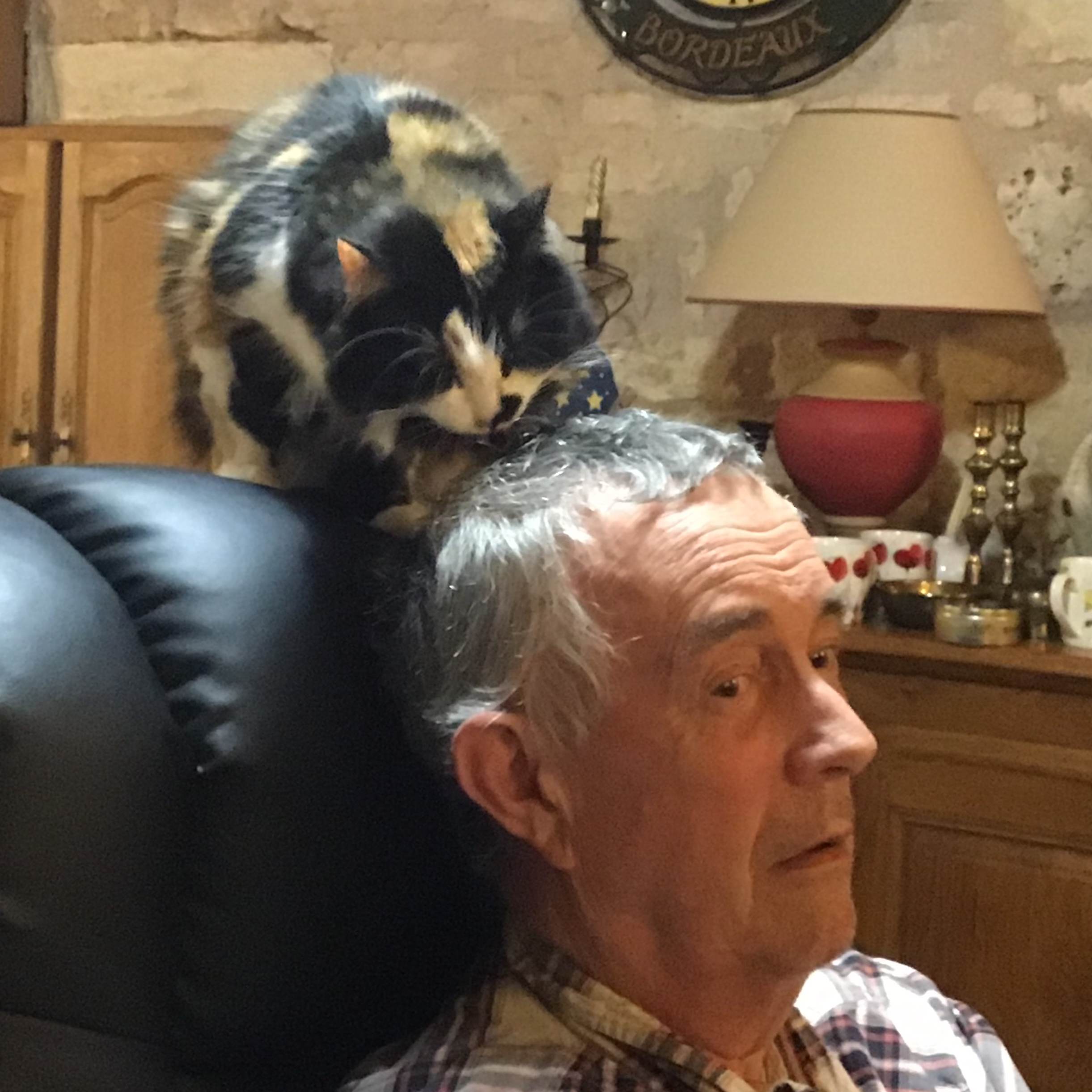 Photo de Peter Graham DALTON